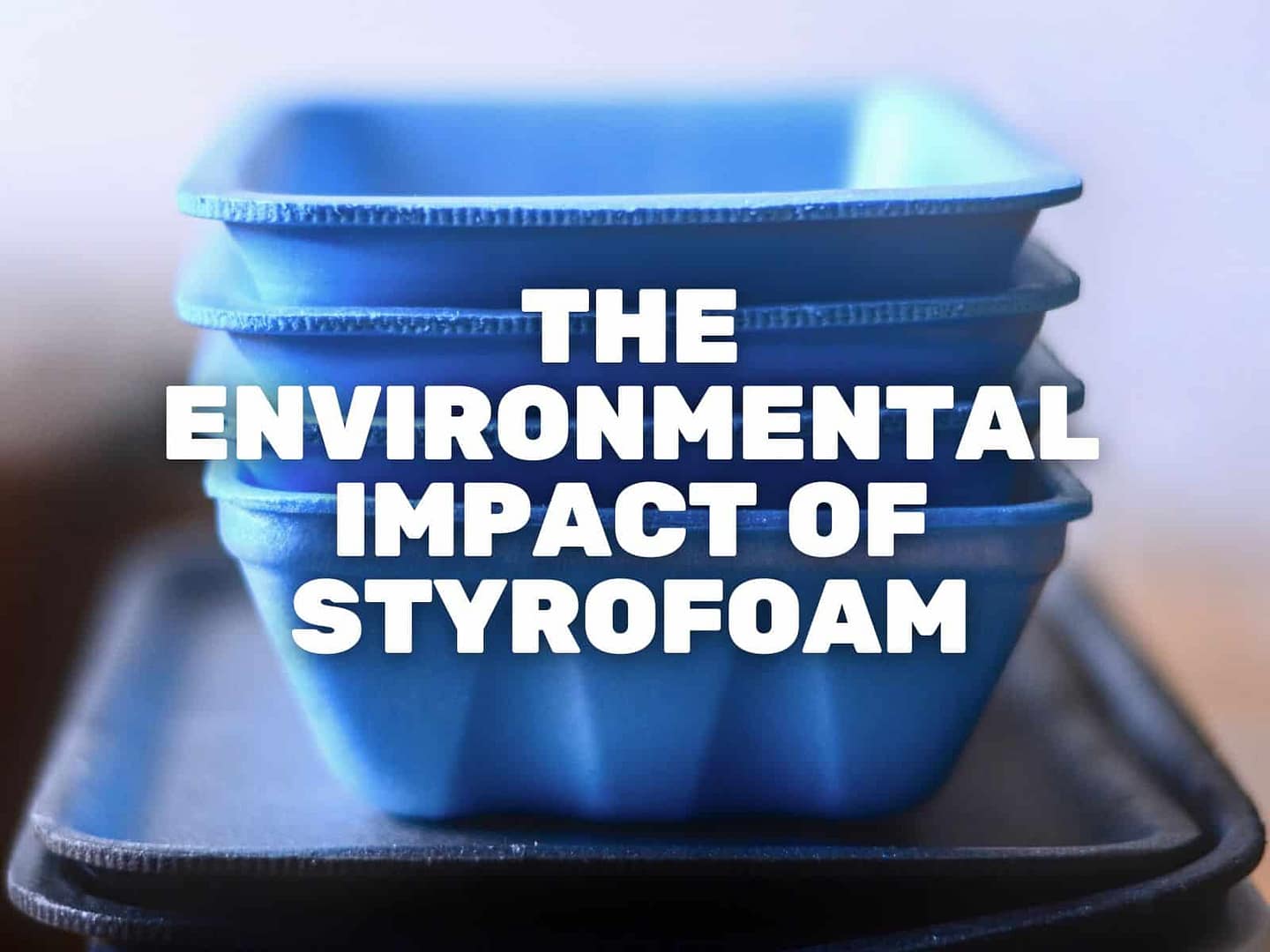 The Environmental Impact of Styrofoam - Simply Plastic Free