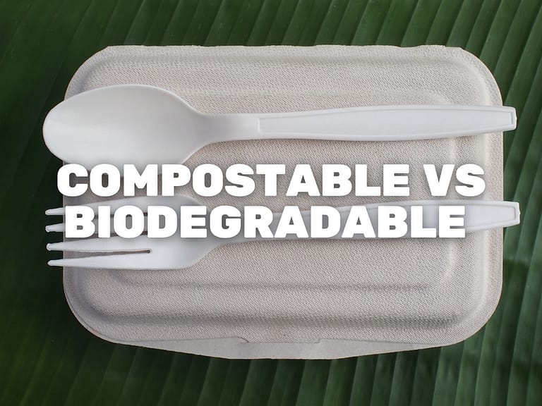 Can you Recycle Blister Packs? Simply Plastic Free