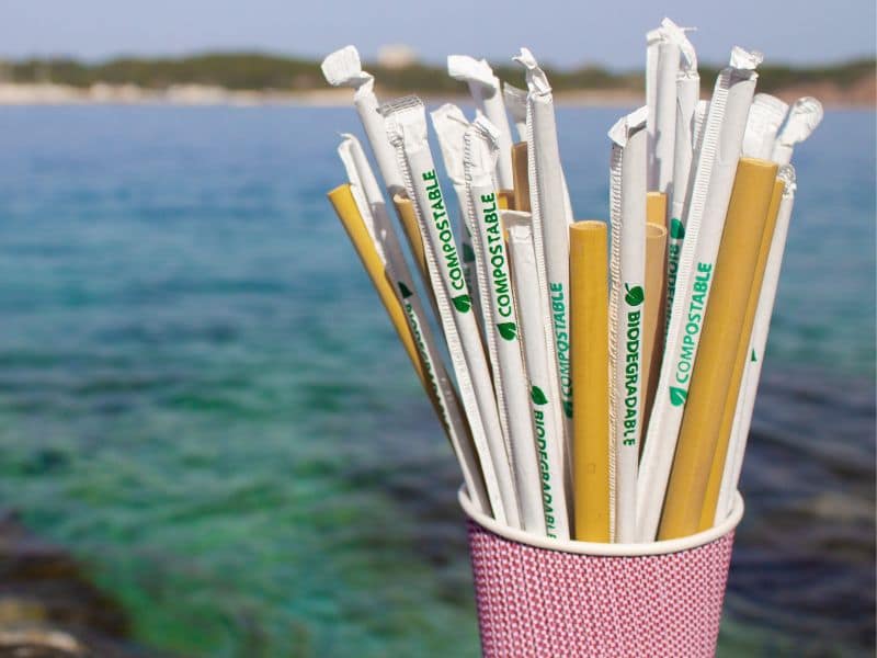 Is Compostable Better Than Biodegradable? Exploring the Differences